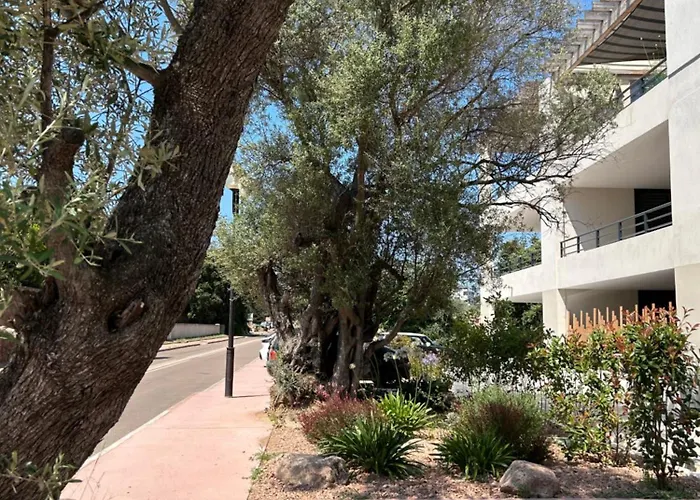 Sognu Di Serena - Superbe Avec Parking Gratuit Sur Place Appartement